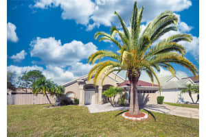 2307 LAUREL PINE LANE, ORLANDO, FL 32837 Sold 12/26/24