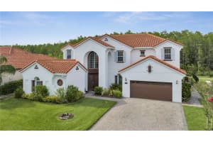 2881 SWOOP CIRCLE, KISSIMMEE, FL 34741 Sold 08/08/24