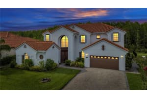 2881 SWOOP CIRCLE, KISSIMMEE, FL 34741 Sold 08/08/24