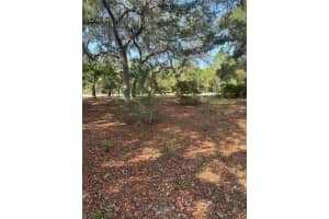 112 BAYBERRY ROAD, GEORGETOWN, FL 32139 Sold 05/23/25