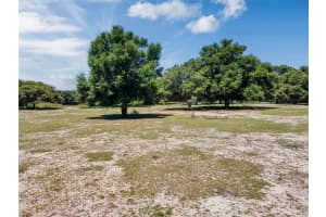 3340 ASHWOOD STREET, GROVELAND, FL 34736 Sold 01/02/25