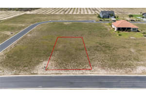 358 ADAMS VIEW LANE, AUBURNDALE, FL 33823 - MLS#MFRS5105590