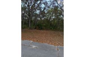 429 NAPLES COURT, KISSIMMEE, FL 34759 - MLS#MFRS5106595