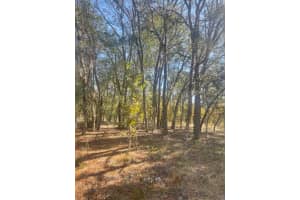 0 NW RIDGEWOOD RD, DUNNELLON, FL 34431 Sold 11/19/24