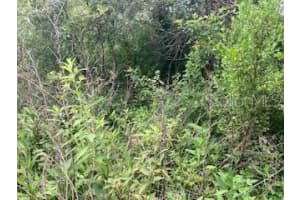 SWEETWATER TRL, KISSIMMEE, FL 34747 - MLS#MFRS5107356