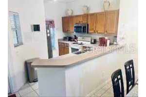 3189 YELLOW LANTANA LANE, KISSIMMEE, FL 34747 Sold 03/26/25