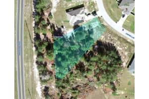 359 CAMELLIA COURT, KISSIMMEE, FL 34759 Sold 07/01/25