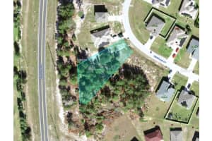 359 CAMELLIA COURT, KISSIMMEE, FL 34759 Sold 07/01/25