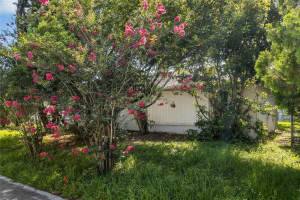 305 PALM AVENUE, KISSIMMEE, FL 34741 Sold 01/09/25