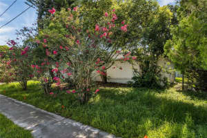 305 PALM AVENUE, KISSIMMEE, FL 34741 Sold 01/09/25