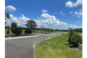 38529 WOODED MEADOW DR, UMATILLA, FL 32784 - MLS#MFRS5108991