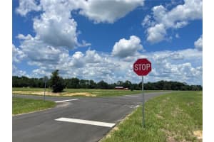 38529 WOODED MEADOW DR, UMATILLA, FL 32784 - MLS#MFRS5108991