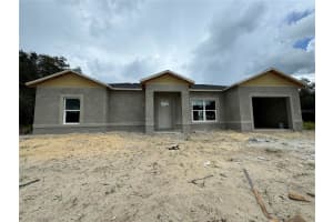 1317 HILLSBOROUGH COURT, KISSIMMEE, FL 34759 Sold 04/18/25