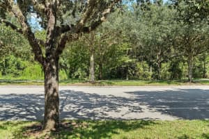 3432 SCHOOLHOUSE RD, SAINT CLOUD, FL 34773 Sold 01/31/25