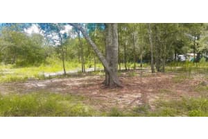 16TH AVE, ORLANDO, FL 32833 Sold 09/15/24