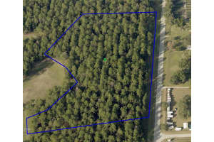 24250 DEEP SPRINGS LOOP, EUSTIS, FL 32736 Sold 05/19/25