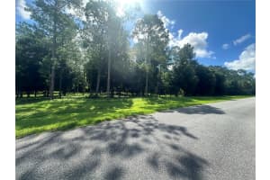 24250 DEEP SPRINGS LOOP, EUSTIS, FL 32736 Sold 05/19/25