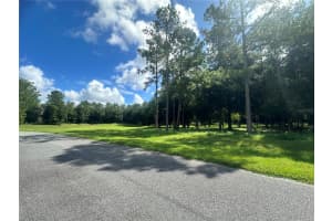 24250 DEEP SPRINGS LOOP, EUSTIS, FL 32736 Sold 05/19/25