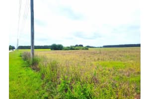 0 SR-33/PINE ISLAND RD., GROVELAND, FL 34736 - MLS#MFRS5110612