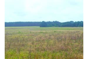0 SR-33/PINE ISLAND RD., GROVELAND, FL 34736 - MLS#MFRS5110612