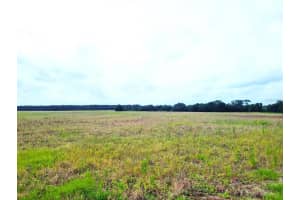 0 SR-33/PINE ISLAND RD., GROVELAND, FL 34736 - MLS#MFRS5110612