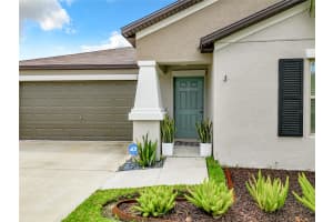 13226 WILDFLOWER MEADOW DR, RIVERVIEW, FL 33578 Sold 11/18/24