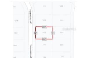 1313 HOMOSASSA COURT, KISSIMMEE, FL 34759 Sold 10/22/24