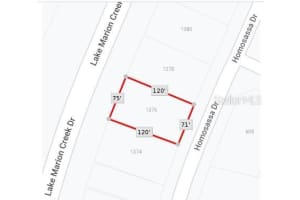 1376 HOMOSASSA DRIVE, KISSIMMEE, FL 34759 Sold 10/24/24