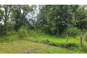 1561 8TH STREET, ORLANDO, FL 32820 Sold 04/17/25
