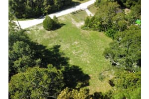 14153 49TH LANE, WILLISTON, FL 32696 Sold 12/18/24