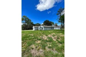 1339 TALLAHASSEE COURT, KISSIMMEE, FL 34759 - MLS#MFRS5111798