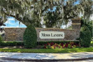 11261 RUNNING PINE DRIVE, RIVERVIEW, FL 33569 Sold 11/05/24