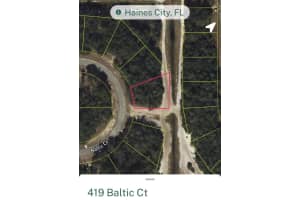 419 BALTIC COURT, KISSIMMEE, FL 34759 - MLS#MFRS5112277