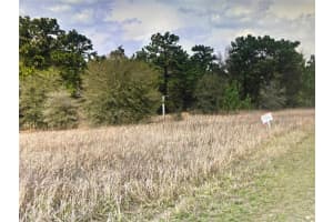 SW 144 CT, OCALA, FL 34481 Sold 12/09/24