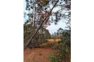 SWEET HILL RD, POLK CITY, FL 33868 Sold 02/21/25