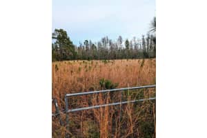 SWEET HILL RD, POLK CITY, FL 33868 Sold 02/21/25