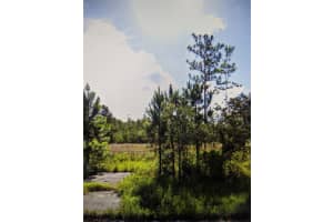 SWEET HILL RD, POLK CITY, FL 33868 Sold 02/21/25