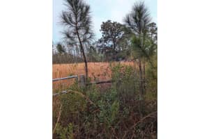 SWEET HILL RD, POLK CITY, FL 33868 Sold 02/21/25