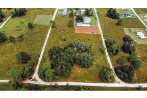 151 CT, OCALA, FL 34481 Sold 11/01/24