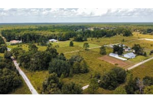 151 CT, OCALA, FL 34481 Sold 11/01/24