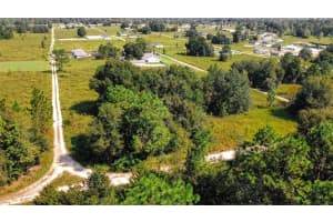 151 CT, OCALA, FL 34481 Sold 11/01/24