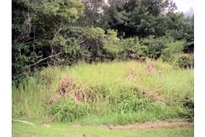 1390 BURNLEY COURT, KISSIMMEE, FL 34758 - MLS#MFRS5113292