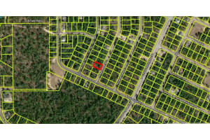 8864 BARBADOS WAY, CITRUS SPRINGS, FL 34433 - MLS#MFRS5113771