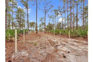18017 12TH AVENUE, ORLANDO, FL 32833 Sold 04/14/25
