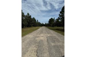 3358 NIEMAN DRIVE, DUNNELLON, FL 34433 Sold 03/31/25