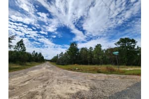 3336 NIEMAN DRIVE, DUNNELLON, FL 34433 Sold 03/31/25