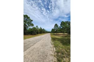3336 NIEMAN DRIVE, DUNNELLON, FL 34433 Sold 03/31/25