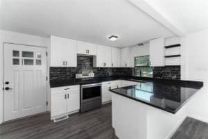 3651 CACTUS LANE, MOUNT DORA, FL 32757 Sold 12/20/24