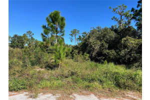 1205 HUDSON HARBOR LANE, KISSIMMEE, FL 34759 Sold 01/08/25