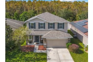181 DAIGLEDOG ST, SAINT CLOUD, FL 34772 Sold 12/20/24